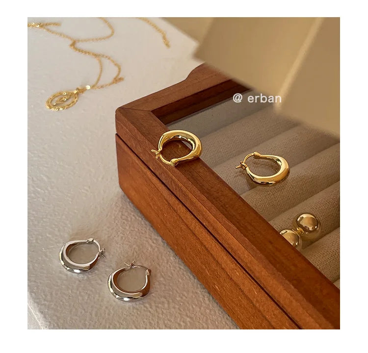 Sterling Silver Earrings Light Luxury Simple Elegant Grand Exquisite High End Fashionable Style of Earrings for Women