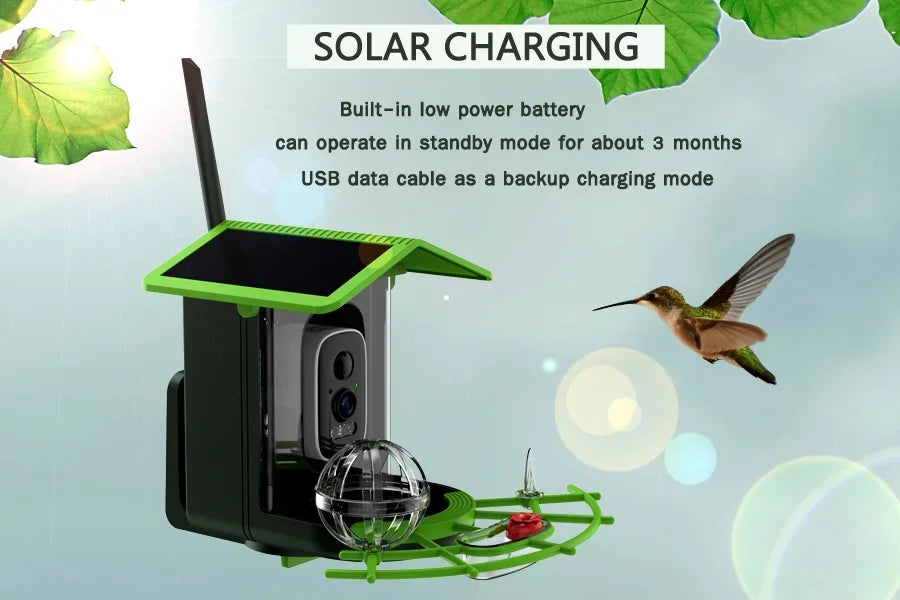 DIDSeth Smart Bird Feeder Camera 4MP 2K HD Solar Powered IP66 Waterproof 1.5L Capacity Night Vision Birdwatching Instant Alerts
