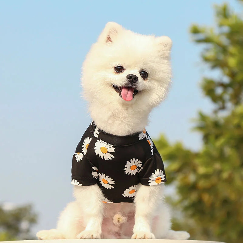 Pet Puppy T Shirt Vest Pet Clothes Spring and Summer New Style Travel Printed Short Sleeve Tshirt Clothes Small Medium Dogs