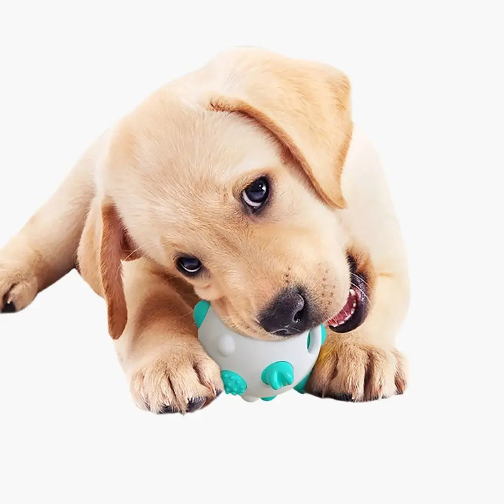 Pet Supplies Bite Resistant Pet Ball TPR Wear Resistant Dog Training Non-slip Pet Teeth Cleaning Ball Teeth Cleaning