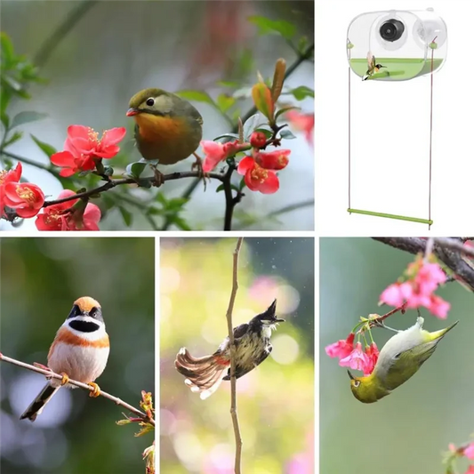 HOES-Bird Feeder And Camera With Strong Suction Cup Weatherproof Large-Capacity Food Organizer Birdwatching, Gift For Bird Lover