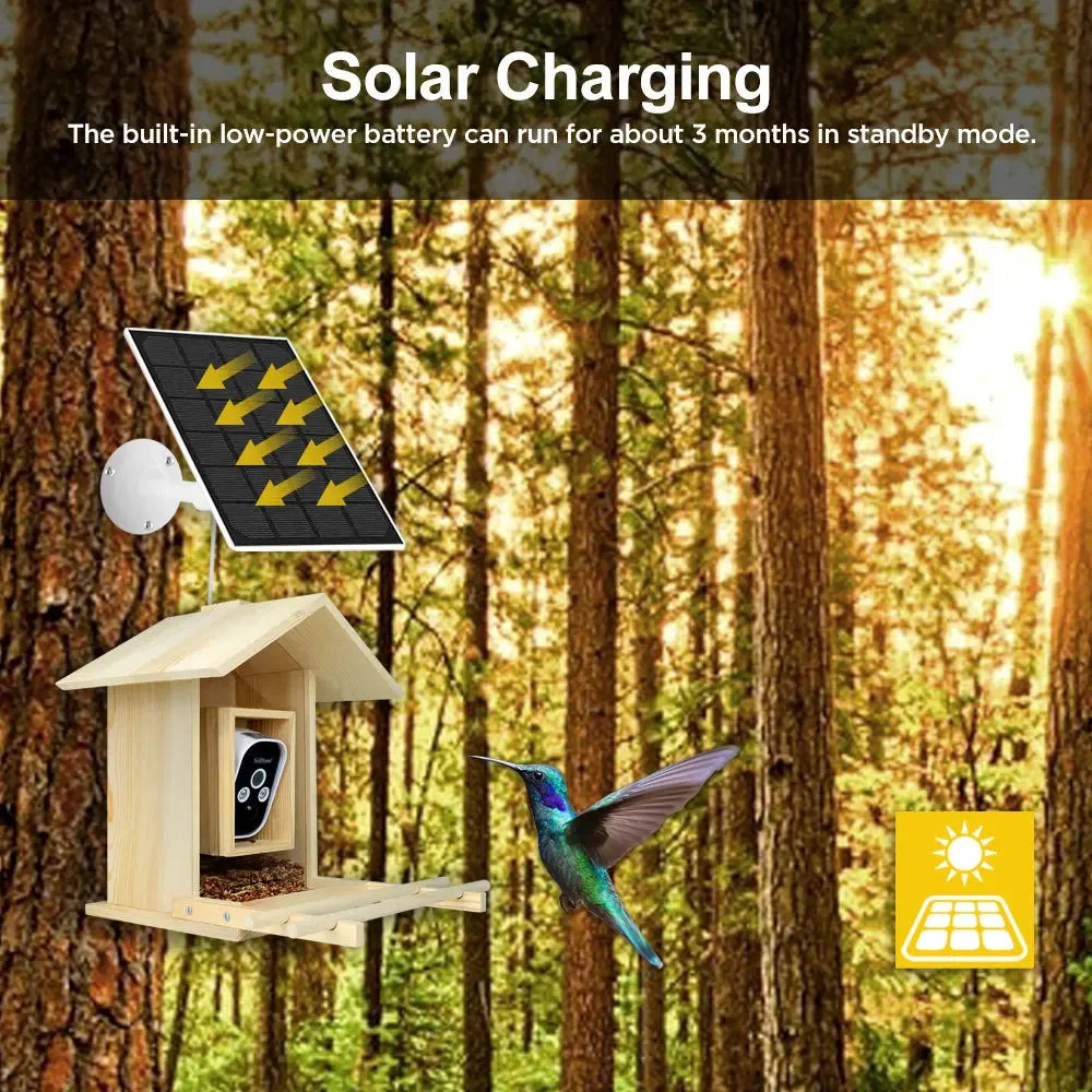 4 Million HD Camera Multifunctional Low-power Waterproof Bird Feeder With Camera