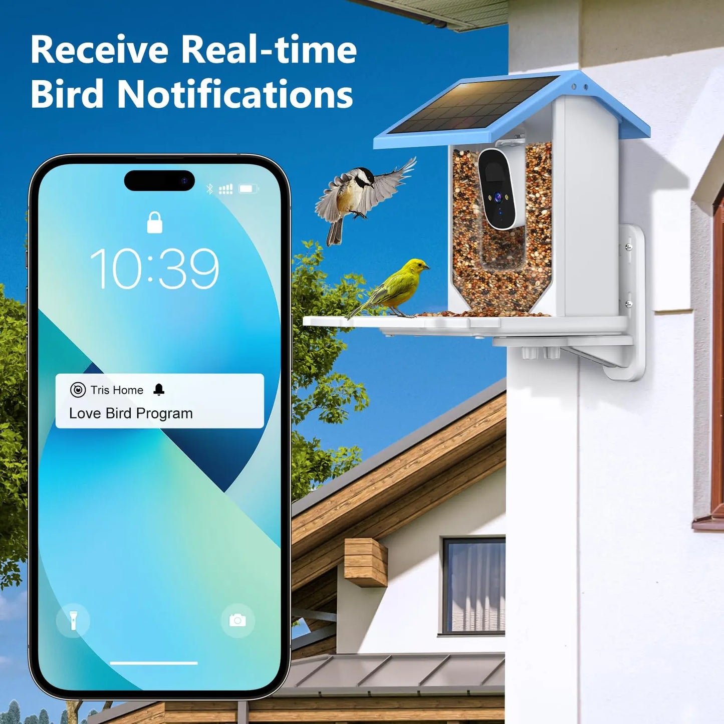 2.4G WiFi Smart Bird Feeder with Camera 2.4K Screen Solar Low Power Night Vision IP66 Waterproof 4G or WIFI Connected Feeder