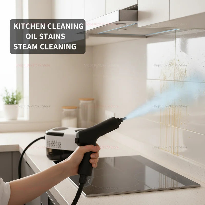 2500W Portable Steam Cleaner High Temperature Sterilization Pressure Jet Washer Machine for Home Car Kitchen Air Conditioner
