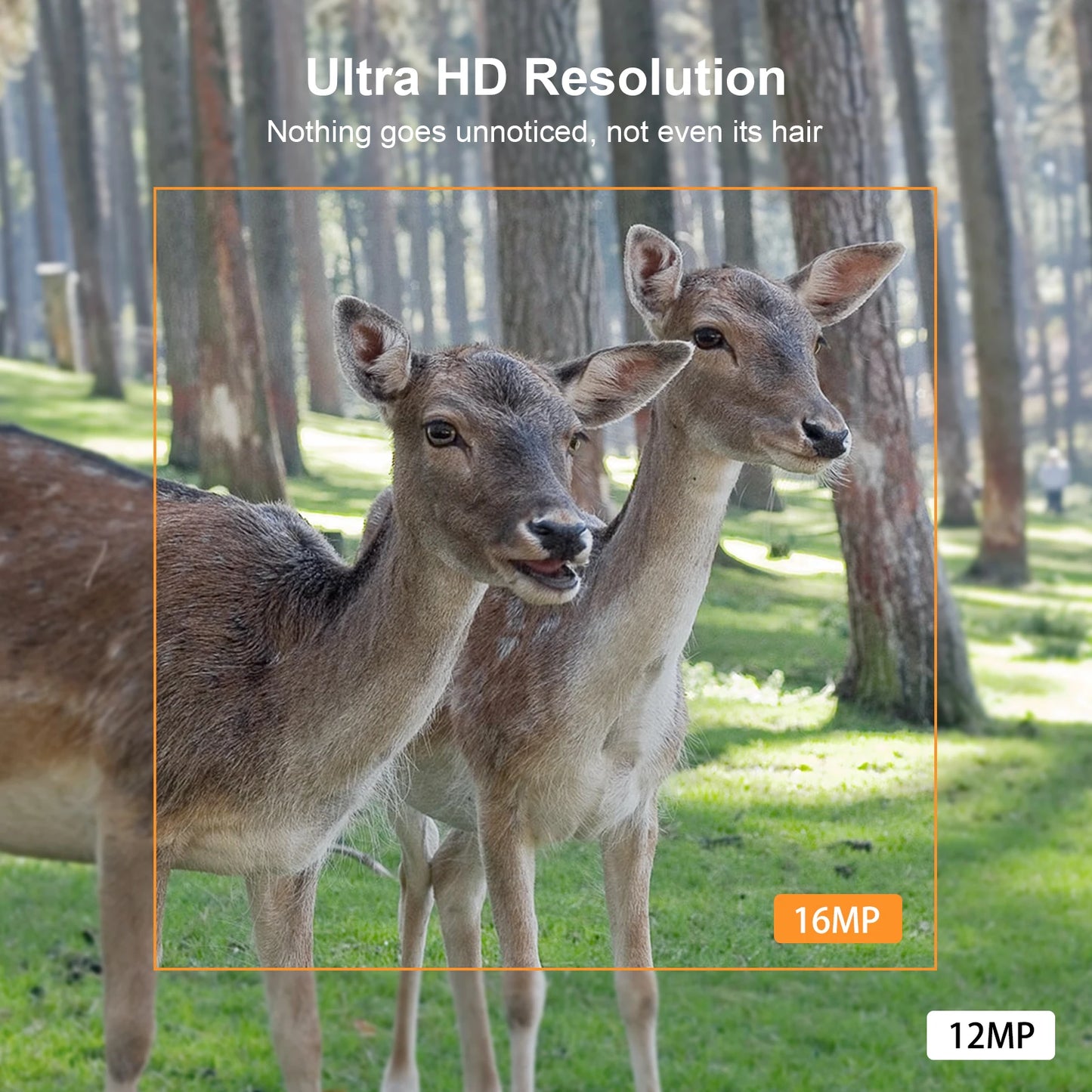 Hunting Camera 16MP 1080P Night Vision Wildlife Camera For Outdoor Camping Security Night Vision Monitoring Hunting Trail Camera