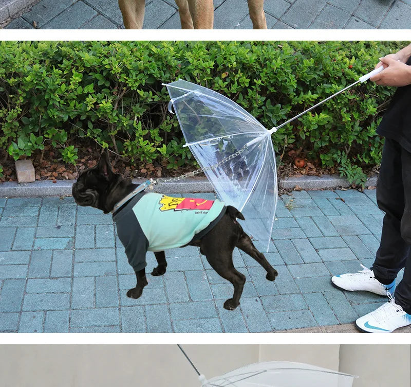 Pet Umbrella Teddy Small Dog Umbrella with Traction Dog Chain Walking Umbrella Rainy Travel Convenient Dog Raincoat Umbrella