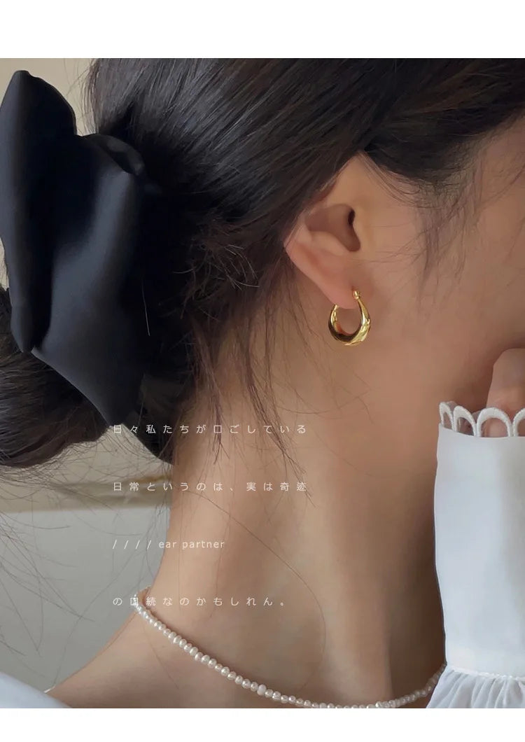 Sterling Silver Earrings Light Luxury Simple Elegant Grand Exquisite High End Fashionable Style of Earrings for Women