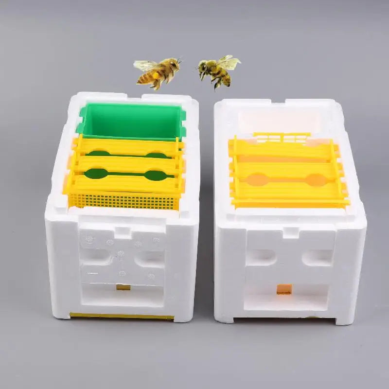 Queen Bee Breeding and Mating Box - Foam Bee Hive for Garden Pollination and Beekeeping Equipment