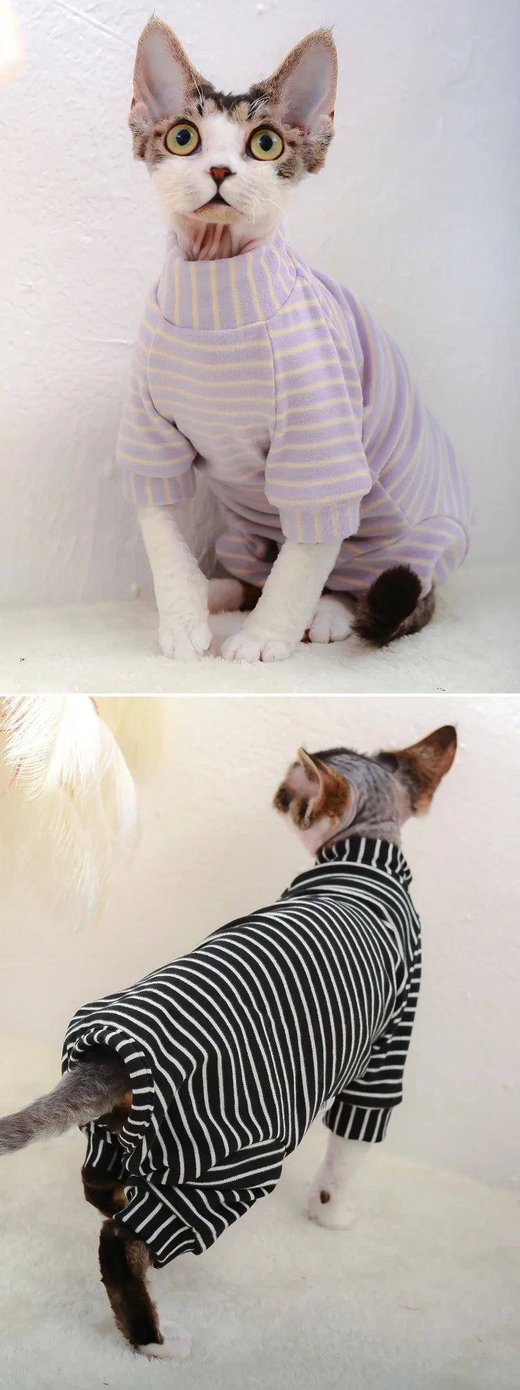 Sphynx Cat Clothes Cotton Kitten Cat Jumpsuit Winter Warm Cats Overalls Hoodies Costumes For Sphinx Devon Cat ropa para gato