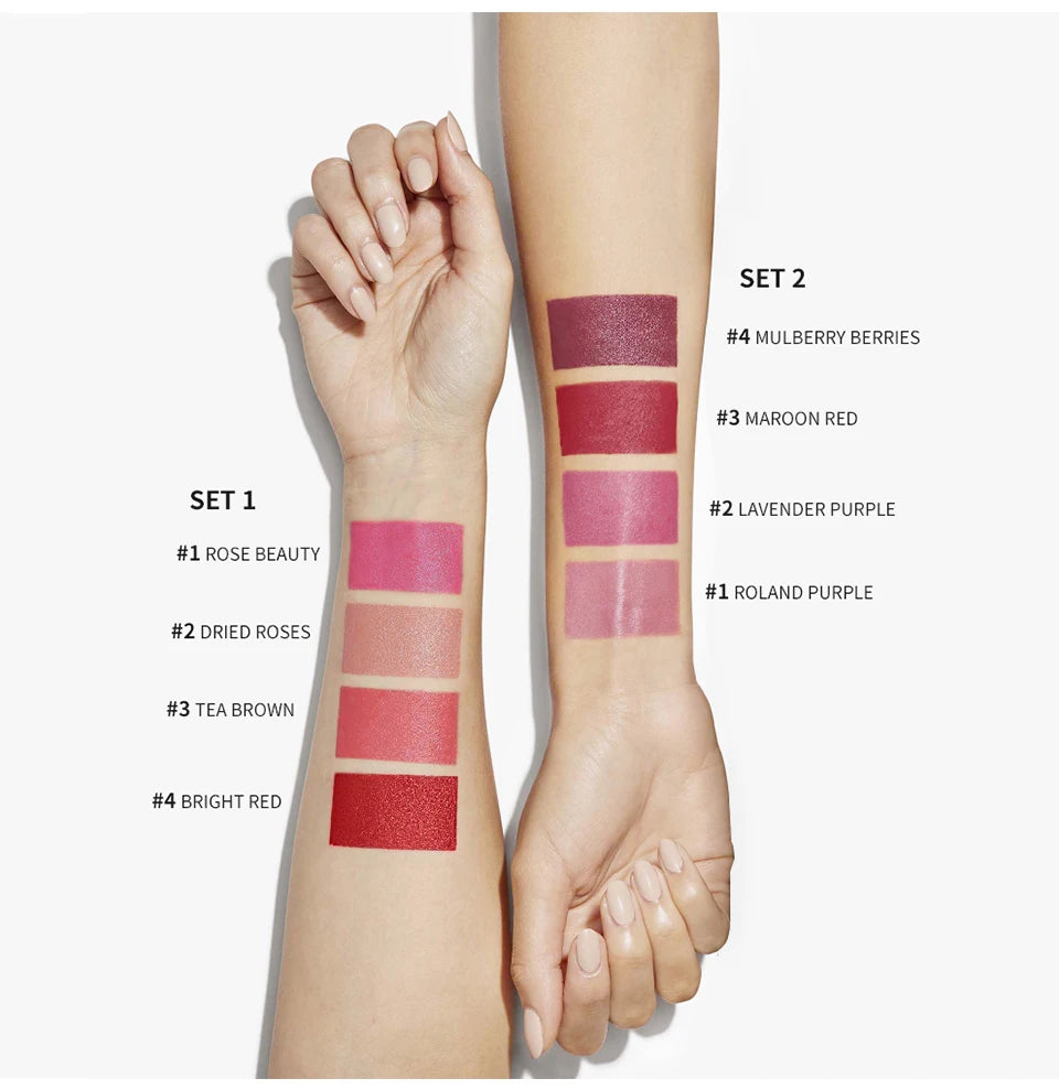 4PCS/Set Matte Long Lasting Waterproof Creative Cigarette Lipstick Set Matt Lip Stick Tube Nude Red Velvet Lip Tint Makeup