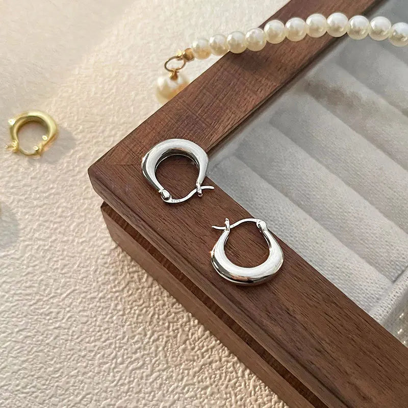 Sterling Silver Earrings Light Luxury Simple Elegant Grand Exquisite High End Fashionable Style of Earrings for Women