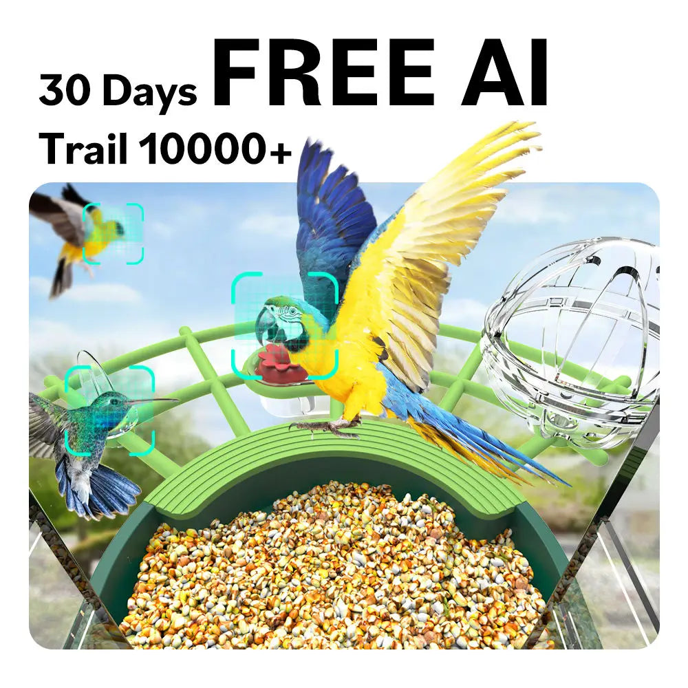 5MP Solar Bird Feeder Camera WiFi Wireless HD Night Vision with Solar Panel Rechargeable Battery Instant Alerts for Birdwatching
