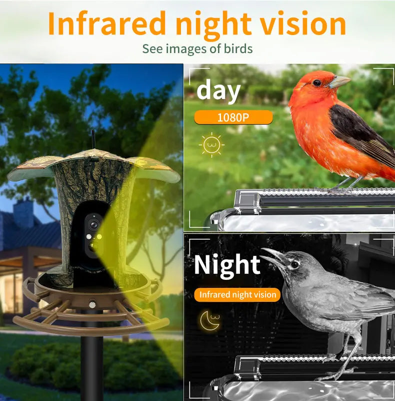 3MP 1296P I-Cam+ APP  Bird Feeding  Solar Battery  Power  IP Camera AI Outdoor Watch Bird Feeder Long Time Standby CCTV Monitor