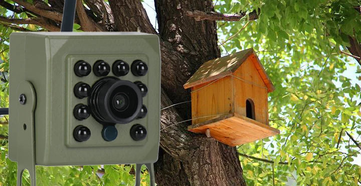 WiFi Bird Box Camera Birdhouse Camera 6MP Camera Wireless 5G 2.4G WiFi App Smart with Nest Auto Capture Photo & Video Tuya App