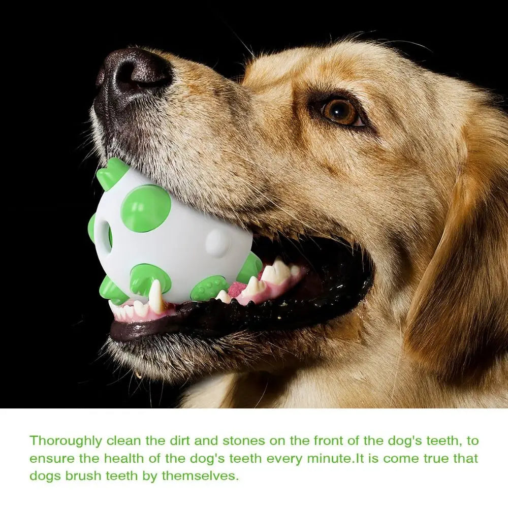 Pet Supplies Bite Resistant Pet Ball TPR Wear Resistant Dog Training Non-slip Pet Teeth Cleaning Ball Teeth Cleaning