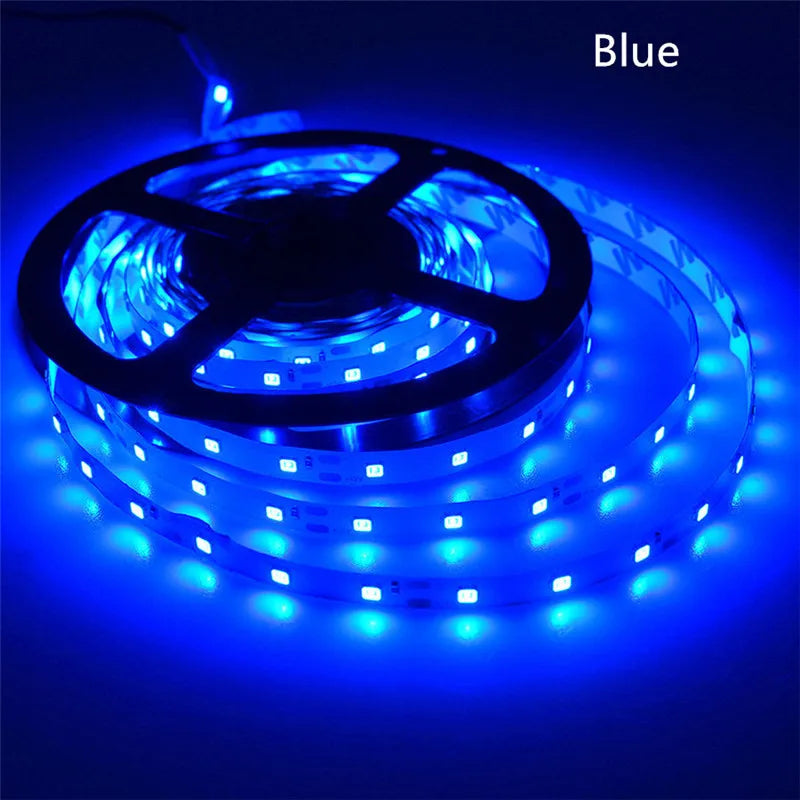 LED Strip 5050 5630 2835 RGB Lights 12V 5M Flexible Home Kitchen Decoration Lamp Waterproof 300 LED Tape Diode Ribbon 60LEDs/M
