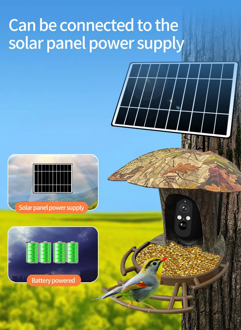 3MP 1296P I-Cam+ APP  Bird Feeding  Solar Battery  Power  IP Camera AI Outdoor Watch Bird Feeder Long Time Standby CCTV Monitor