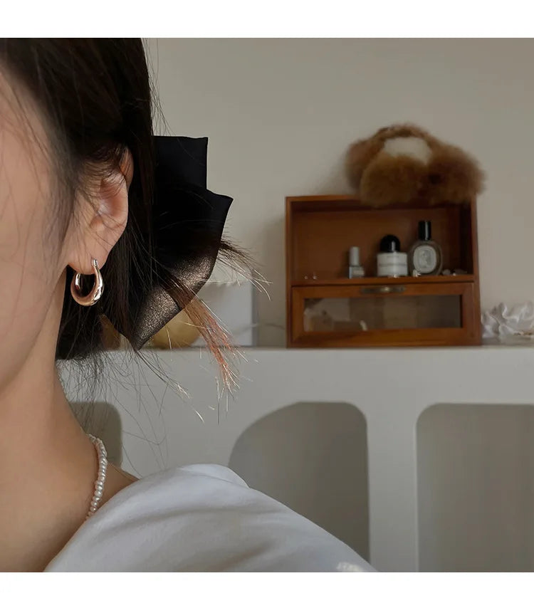 Sterling Silver Earrings Light Luxury Simple Elegant Grand Exquisite High End Fashionable Style of Earrings for Women