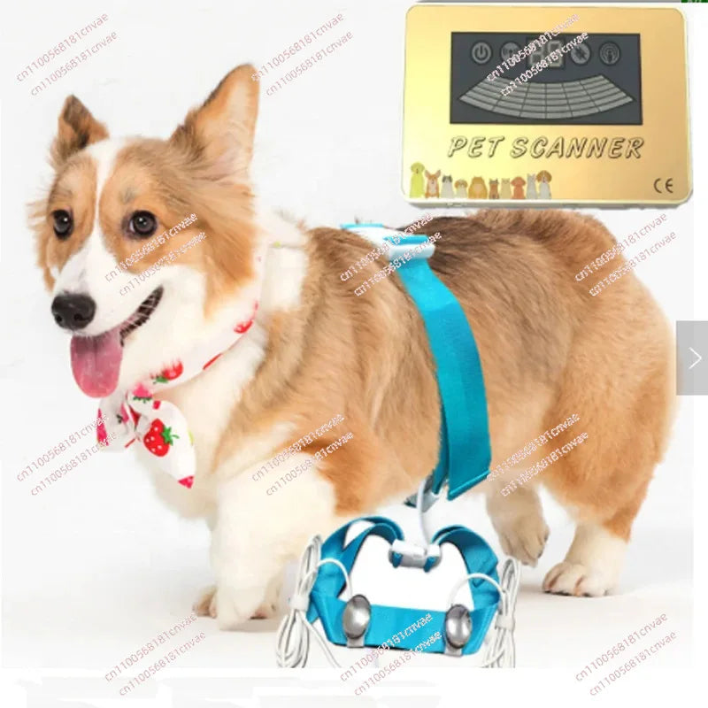 2024 Pet quantum scanner for detecting Dog and Cat Animal
