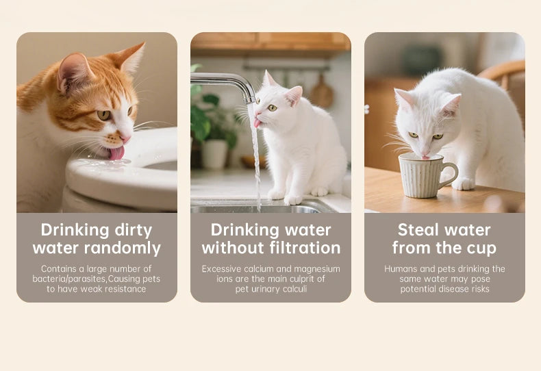 Pet water dispenser, intelligent water feeder, circulating fresh water, purified water filtration, cat and dog water dispenser