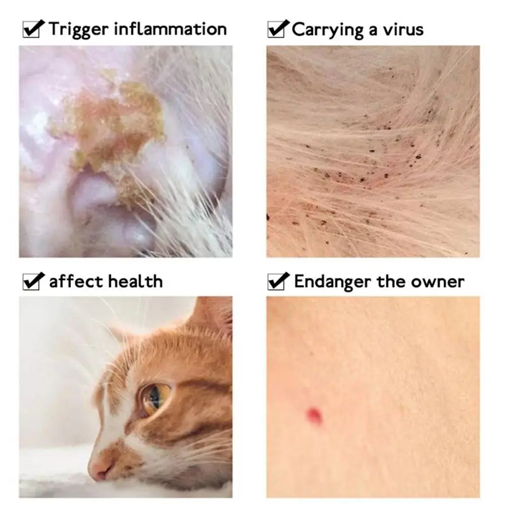 Pet Products Anti Flea for Cat Dog Anti Ticks Anti Mosquitoes Flea Collar Puppy Collar Dog Flea Repeller Dog Cat Collar