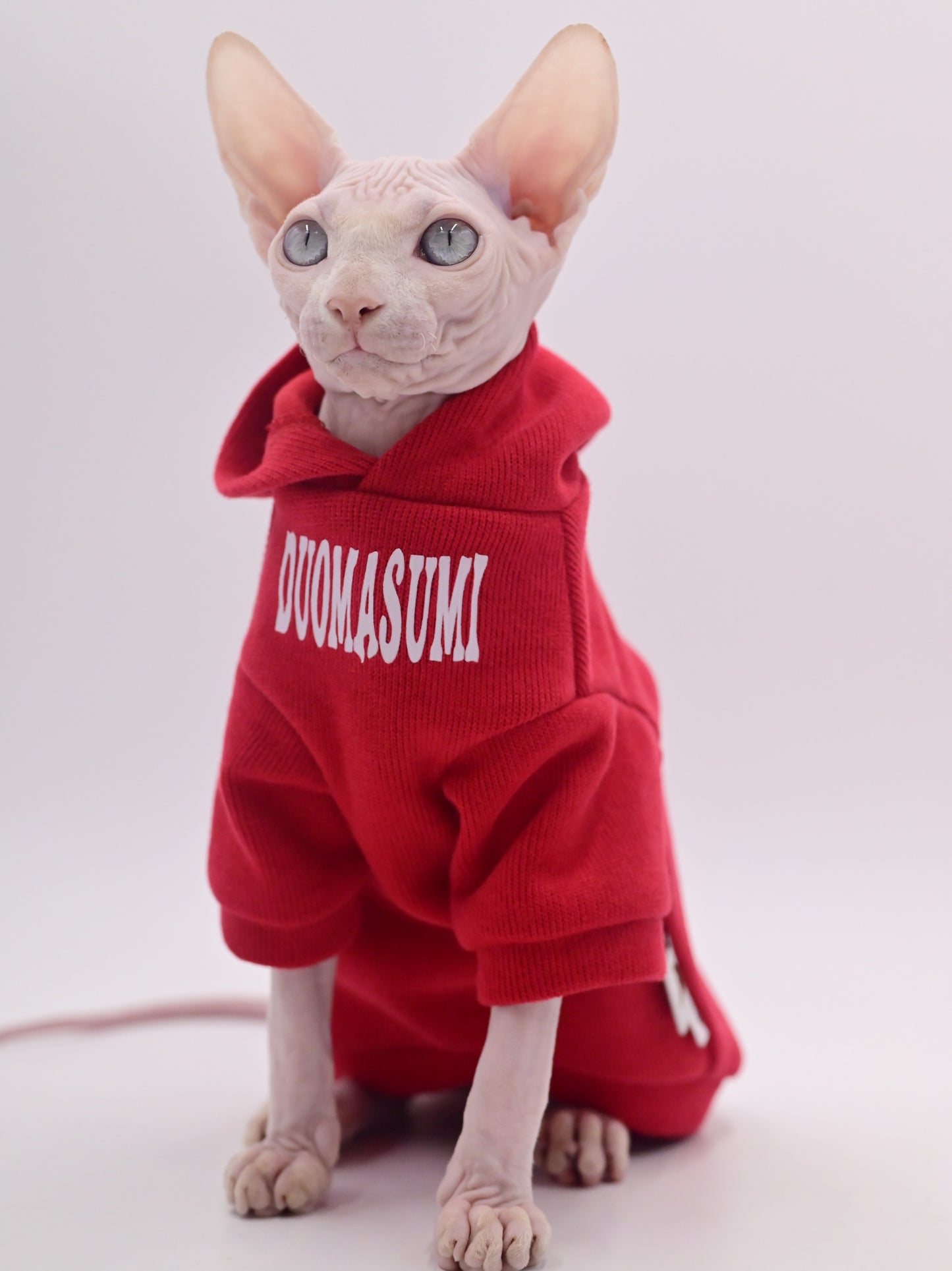 Stylish Hairless Cat Clothes Spring/Autumn Collection for Sphynx Cats，Devon Rex, Cornish and Small Cats