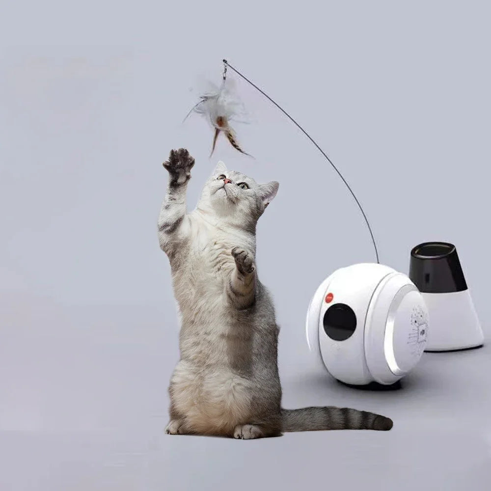 Interactive HD Pet came with Rolling Ball Toy inligent Home monit Featuring las Spot and Pet Movements Pet sounds