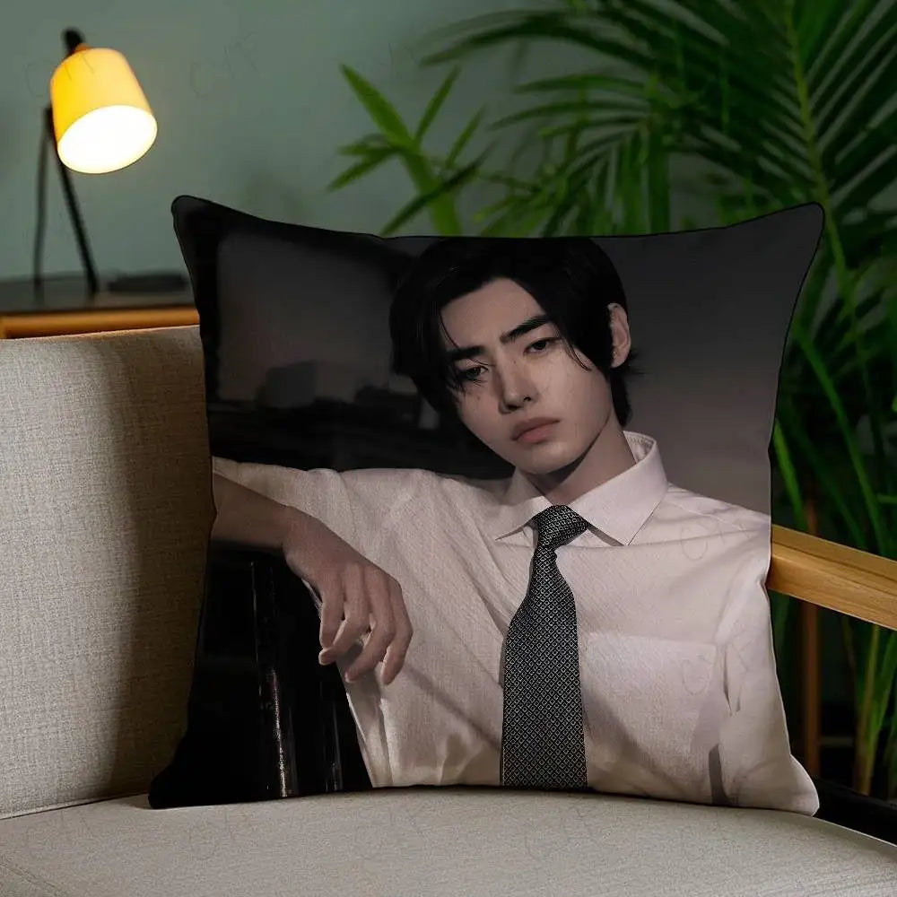 Kpop Singer P-Park Sunghoon Pillow Case Anti-dustmite Pillowcase Invisible zipper silky short plush Sofa cushion cover