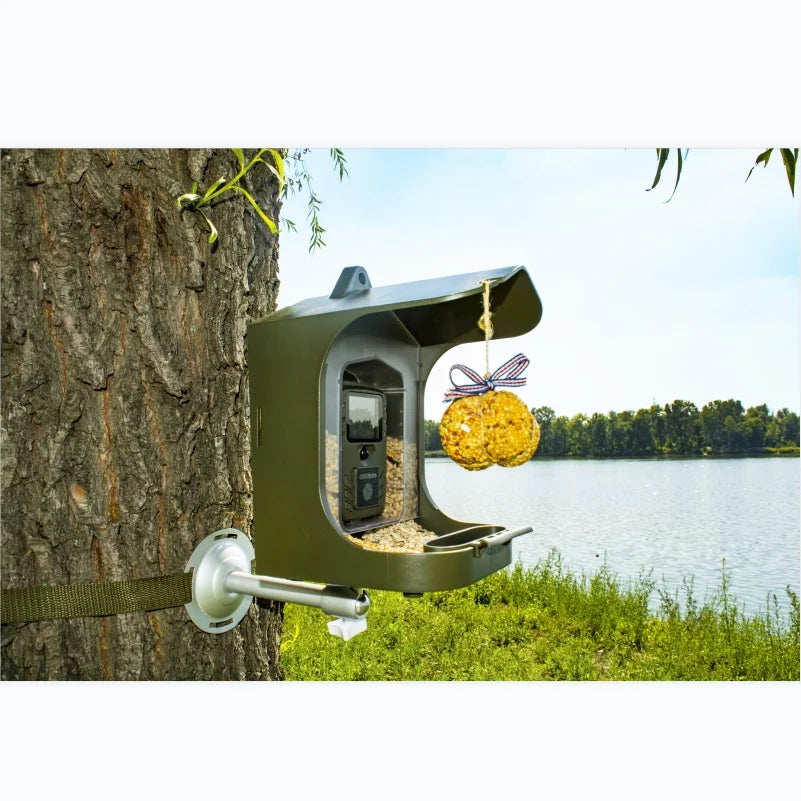 Infrared Night Vision Bird Small Animal Watching Camera Trail Camera BC-303 Birds Feeding 24MP 1080P 30