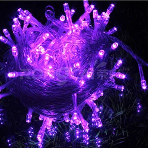 LED Strip 10M 100LEDs Christmas Lights Led Strip Lights Festoon Fairy Lights Garden Light Party Holiday Christmas Decoration