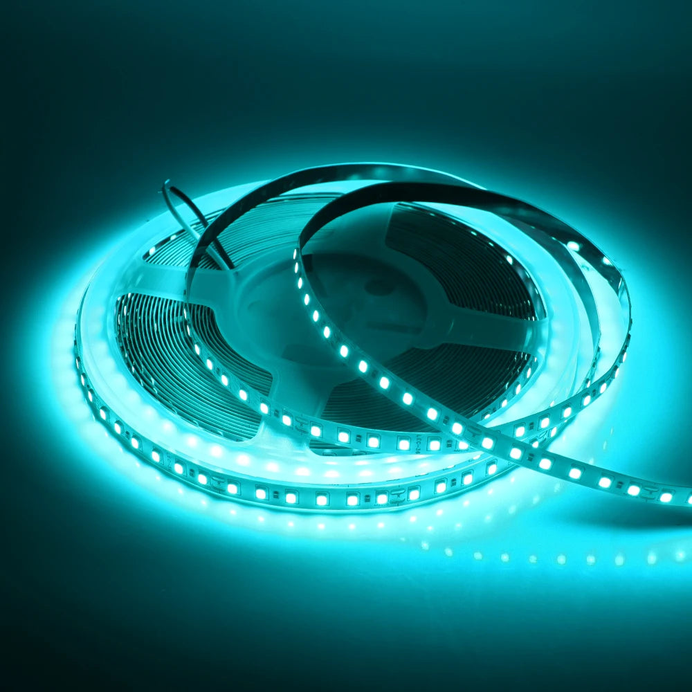LED Strip 5mm 12V 24V 120LEDs/m Warm White Yellow Red Green Ice Blue Pink Purple Not Waterproof Flexible Tape for DIY Room Decor