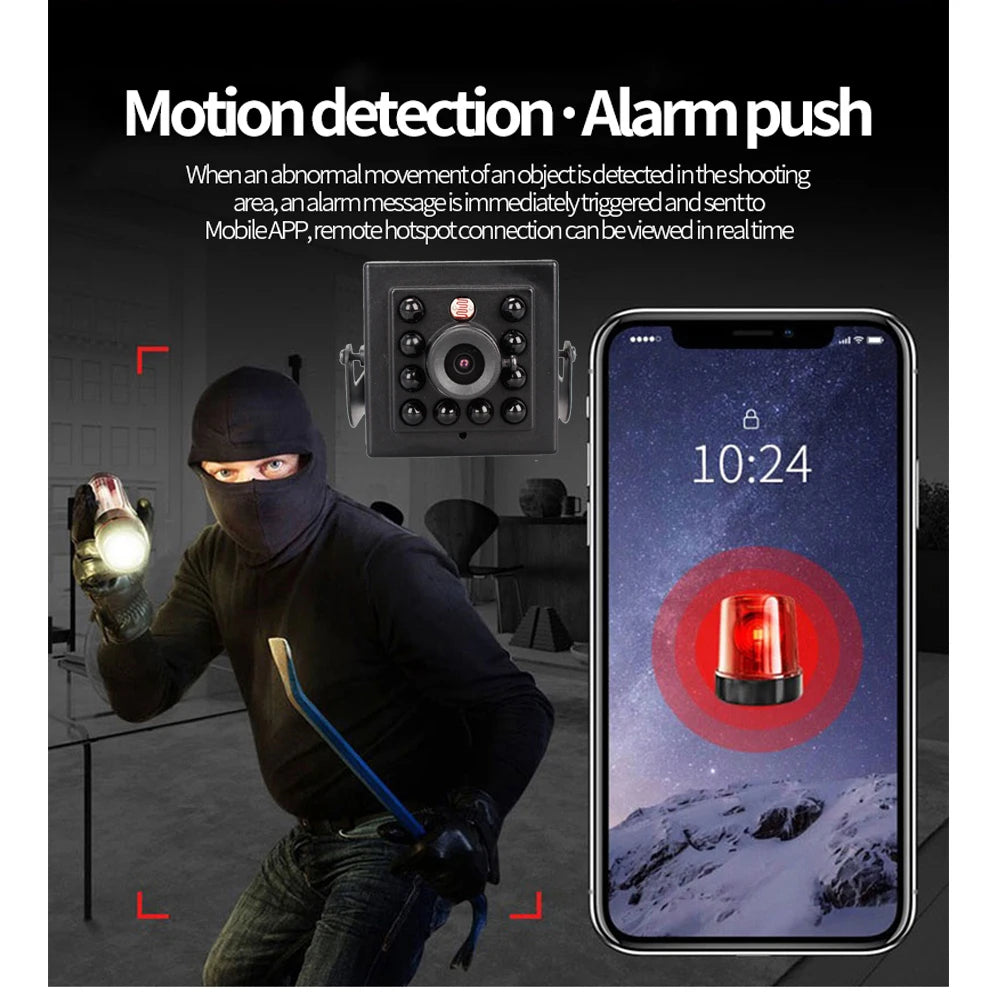 Birdhouse Camera with 5MP 2MP 1080P HD Camera Wireless WiFi & App Notify Smart Birdhouse with Capture Photo & Video P2P Camhipro