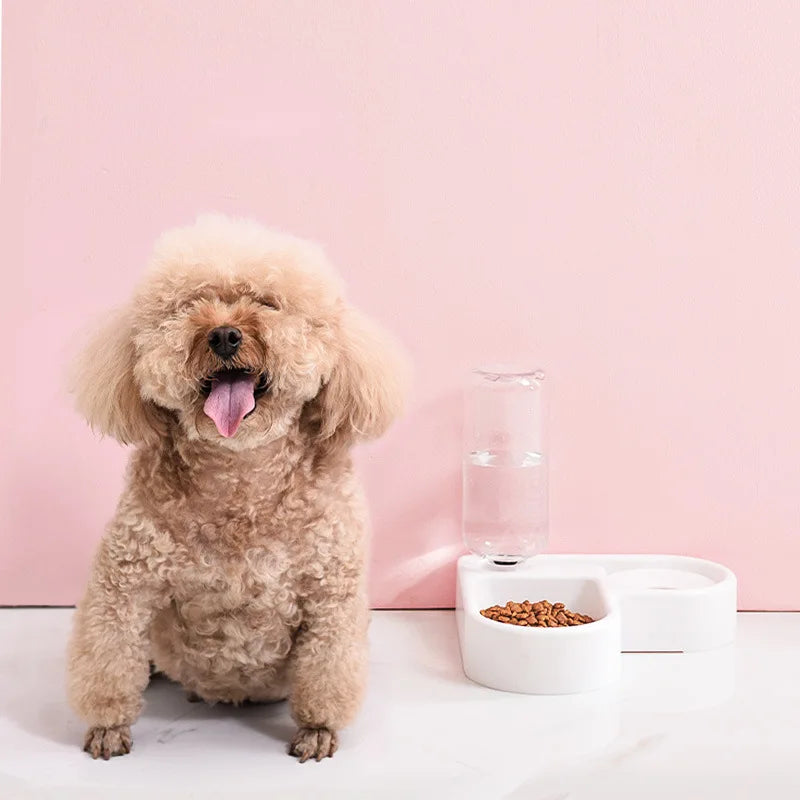 Double Dog and Cat Bowl-Pet and Food Bowl Set with, Pet Feeding Bowl Suitable for Cats and Small Dogs