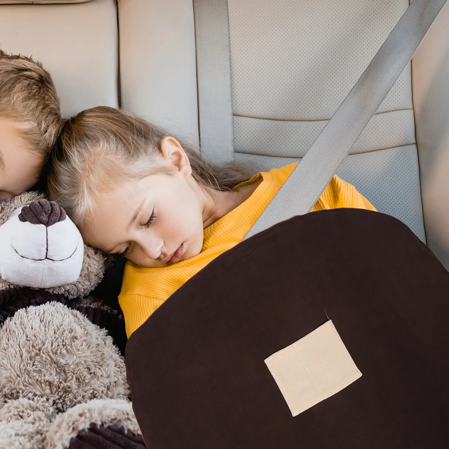 USB Heating Blanket Electric Heated Portable Pet Heating Mat Soft Warm Blanket for Reptiles Cats Dogs Small Animals