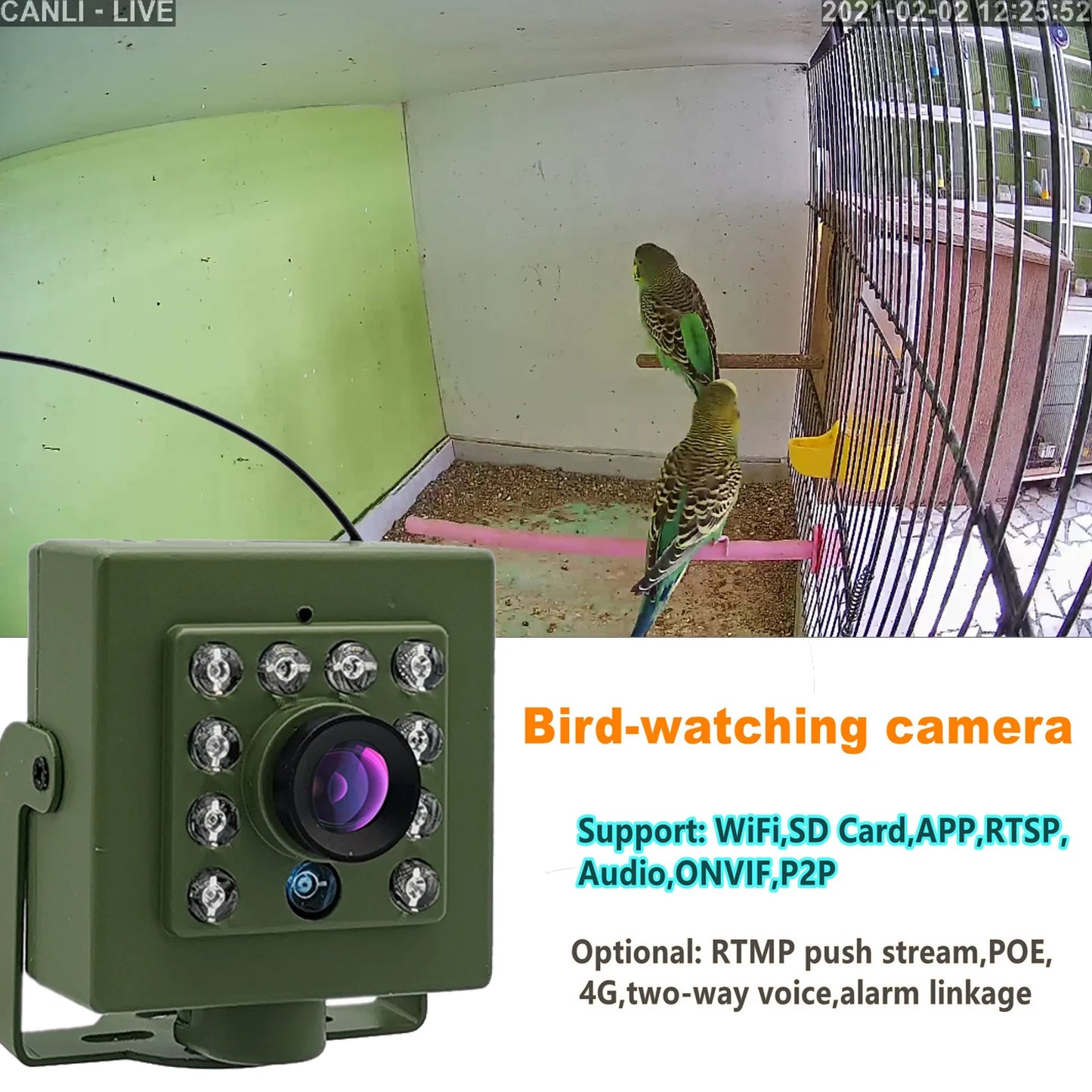 Bird Box Camera WiFi 1080P Night Vision | Indoor Wildlife & Pet Nest Cam