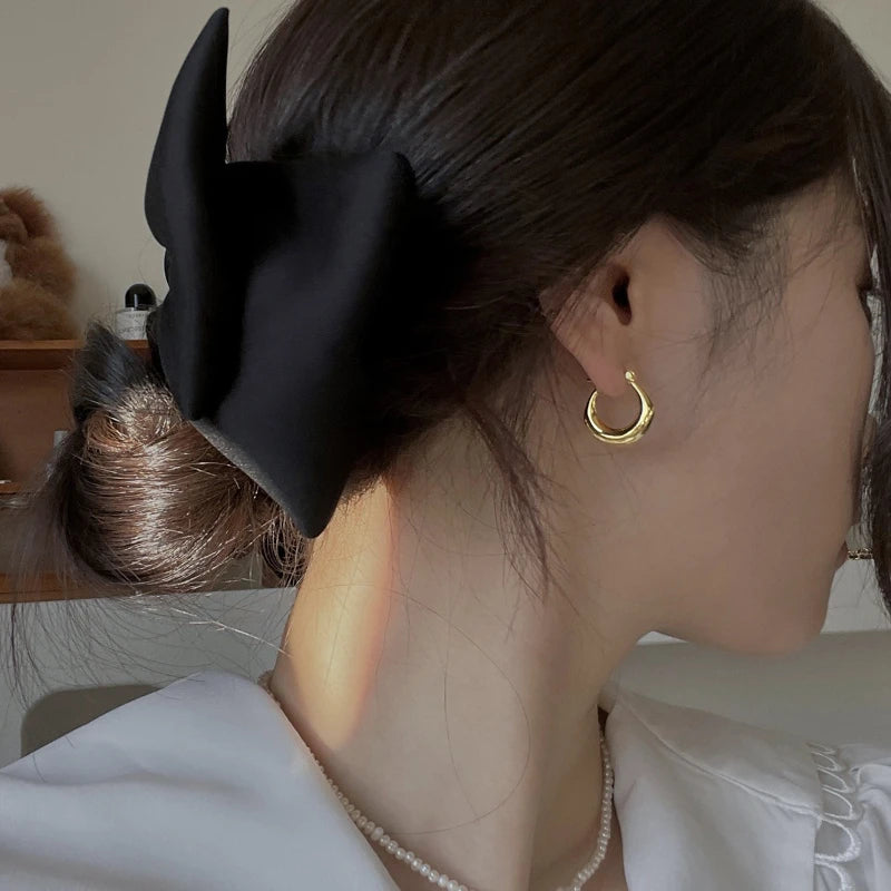 Sterling Silver Earrings Light Luxury Simple Elegant Grand Exquisite High End Fashionable Style of Earrings for Women