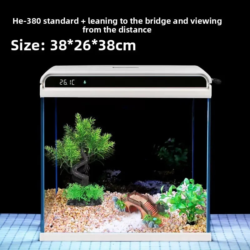 Creative Small Desktop Aquarium, Ecosystem Fish Tank for Office Home Desk Decoration, Mini Glass Tank