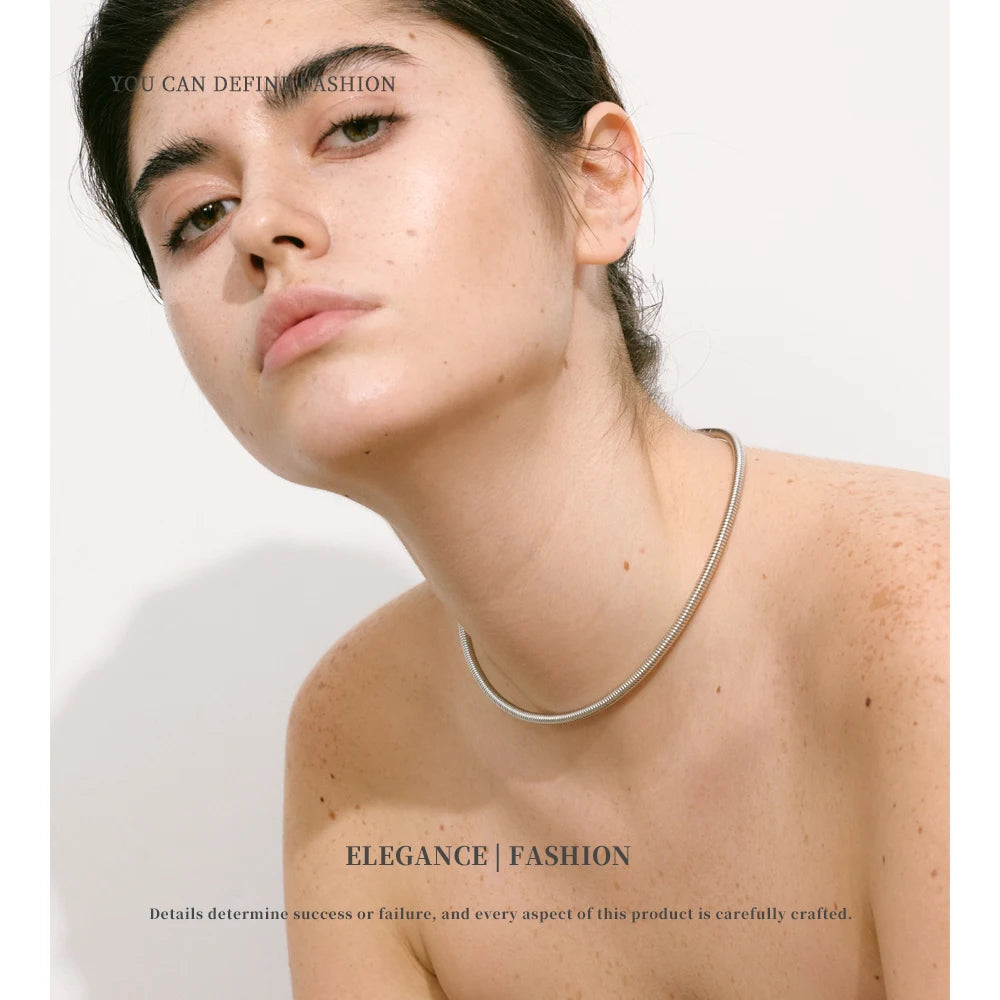 NiNice Necklace 316 Stainless Steel Snake Chain Collar 18k Plated Fashionable Simple gift Collares Para Mujer Grandes Modernos