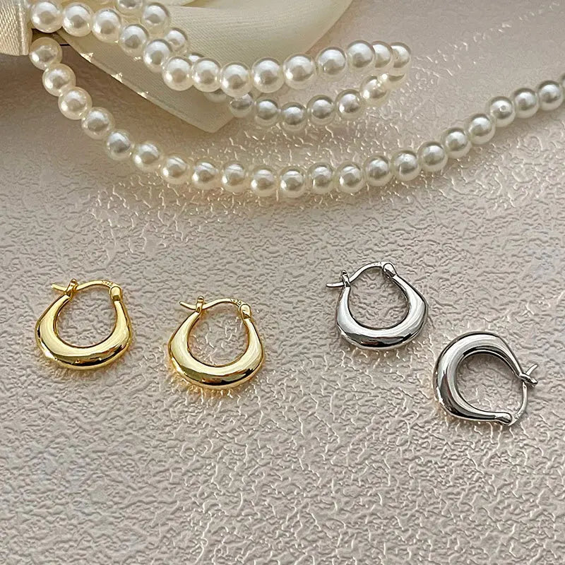 Sterling Silver Earrings Light Luxury Simple Elegant Grand Exquisite High End Fashionable Style of Earrings for Women