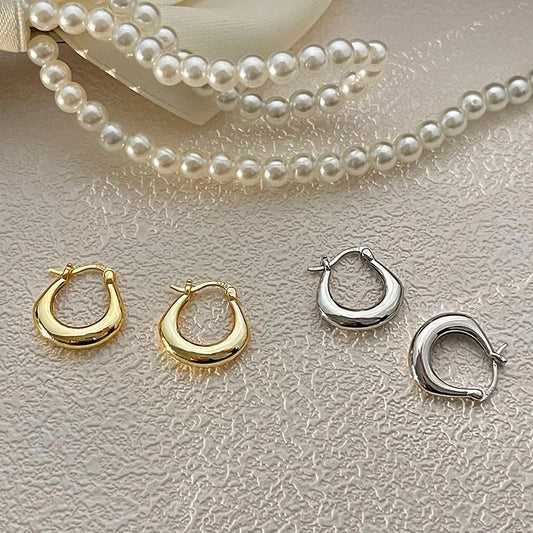 Sterling Silver Earrings Light Luxury Simple Elegant Grand Exquisite High End Fashionable Style of Earrings for Women