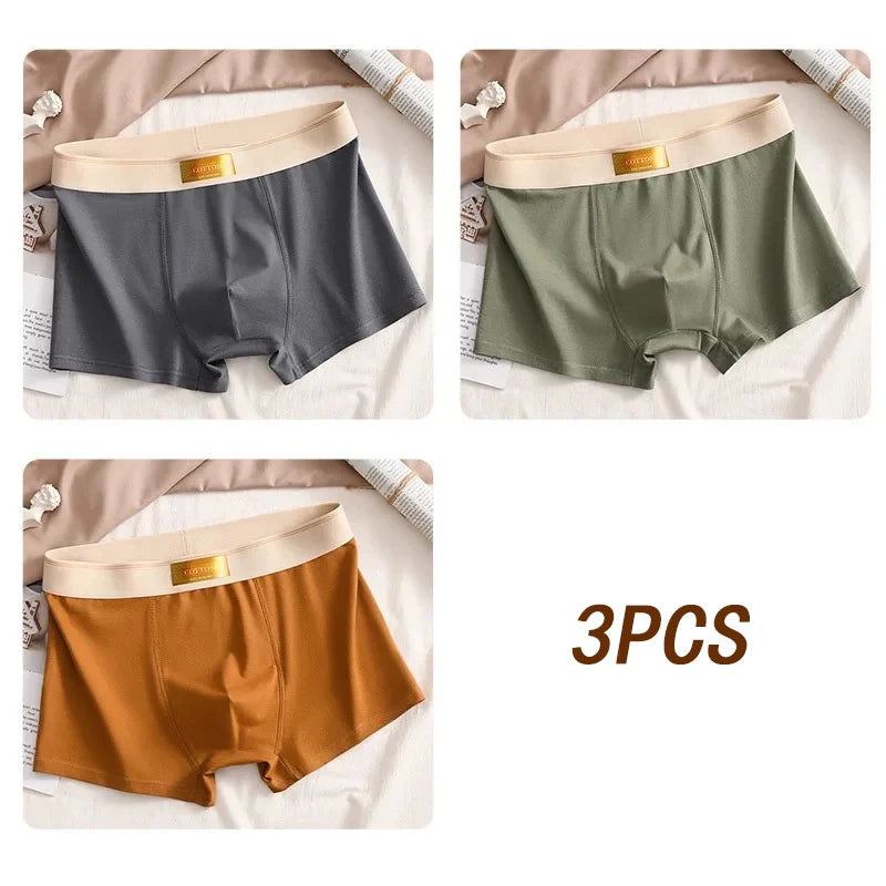 3pcs Men Underwear Cotton BoxerShorts Hombre Panties Man Breathable Underpants Sexy Sports Comfort Male Boxers Large Size L-6XL
