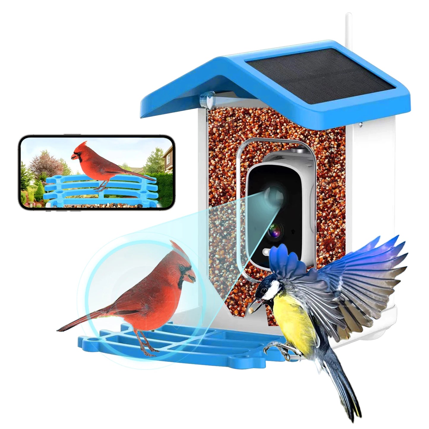 Solar Bird Smart Feeder AI Camera 5.0Megapixel Low Power Night Vision IP66 Waterproof WIFI 1.5L Capacity Feeder Camera Gift Box