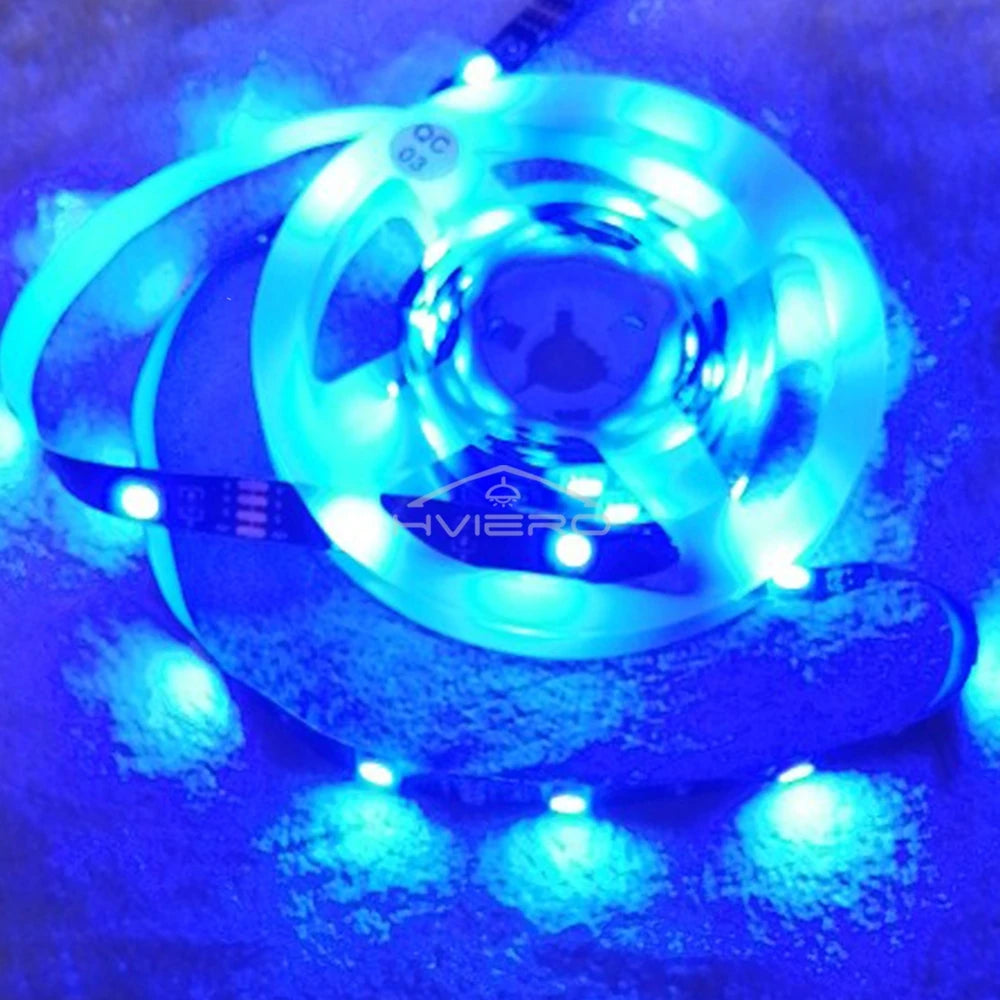 5M 600LEDs LED Strip 2835 DC12V 120LEDs/M Flexible Light Belt Led Ribbon Tape Home Decoration White Blue Red Green Lamp Strips