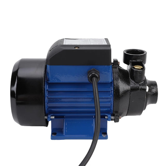 Irrigation Pump 230W 1.5m³/H Flowrate 1 Inch Outlet Quiet 3200RPM 25m High Lift  for Agricultural