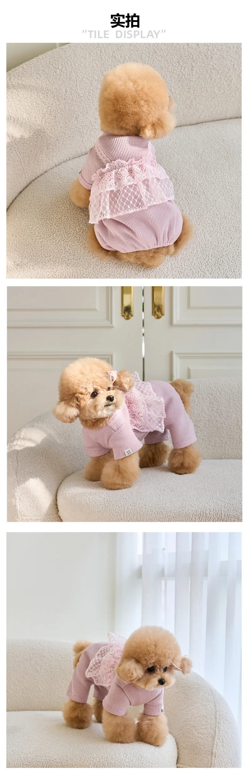 Pet Spring Jumpsuit Cute Lace Camisole Puppy Teddy Cat Waffle Lace Four Legged Coat Small Dog Puppy Clothes Dog Pajamas