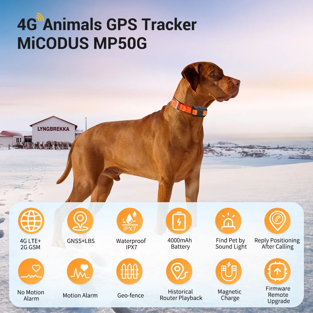 Smart 4G GPS Tracker And Electronic Fence GPRS Navigation And Positioning Historical Track Feature GPS Tracker