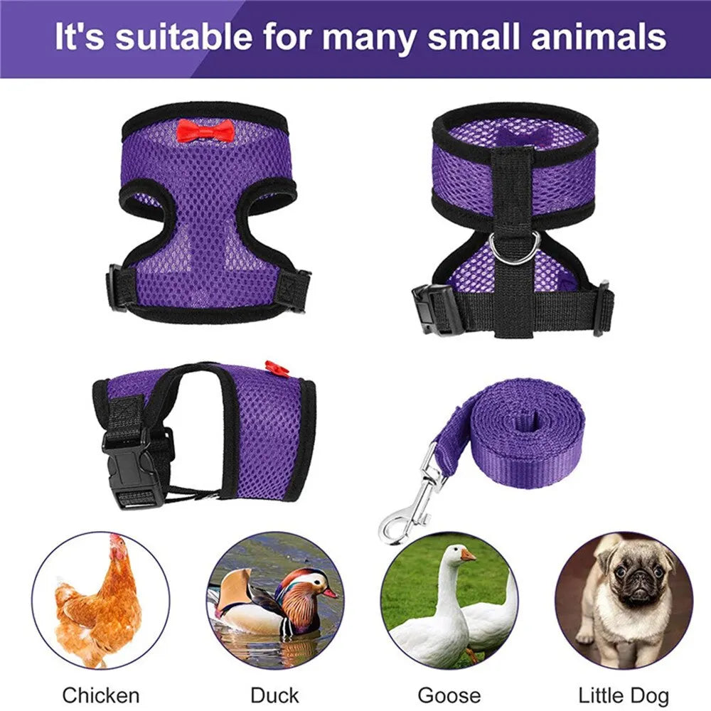 Pet Adjustable Harness Leash for Chicken Puppy Comfortable Breathable Pet Vest for Small Dogs Duck Goose Training Accessories