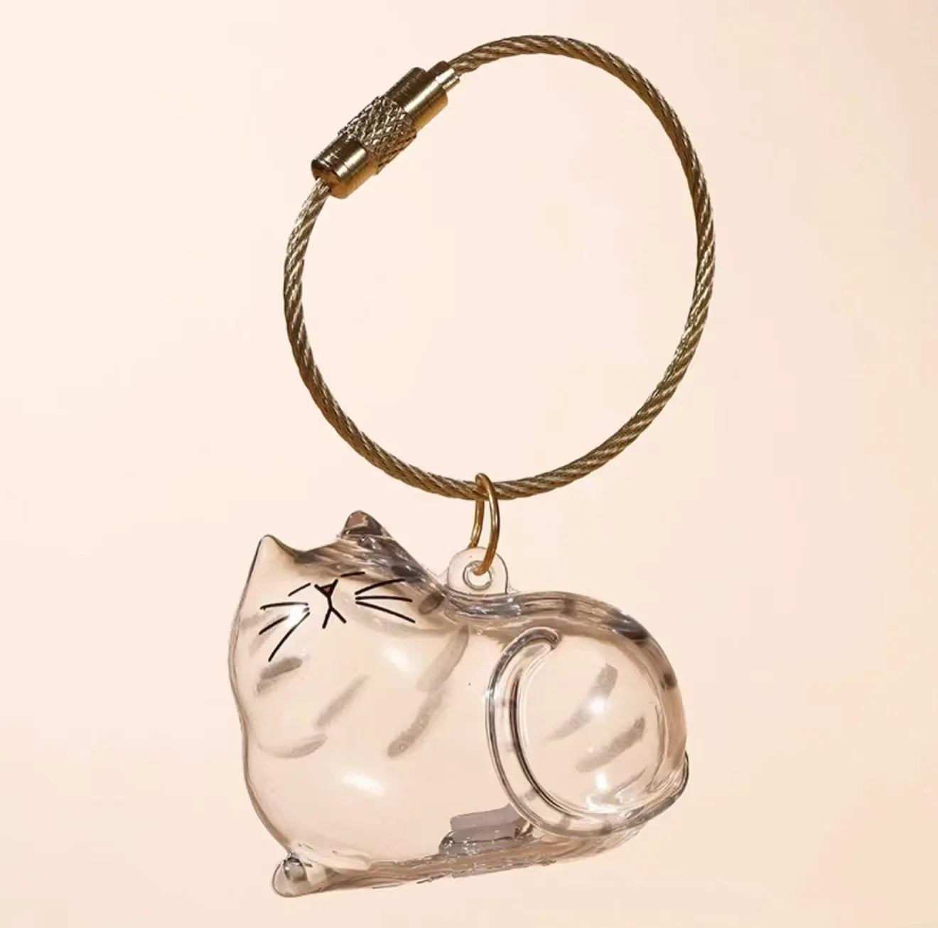 Pet Hair Keepsake Box Transparent Storage Container for DIY Decoration Memorial Gift for Pet Lovers Home Display