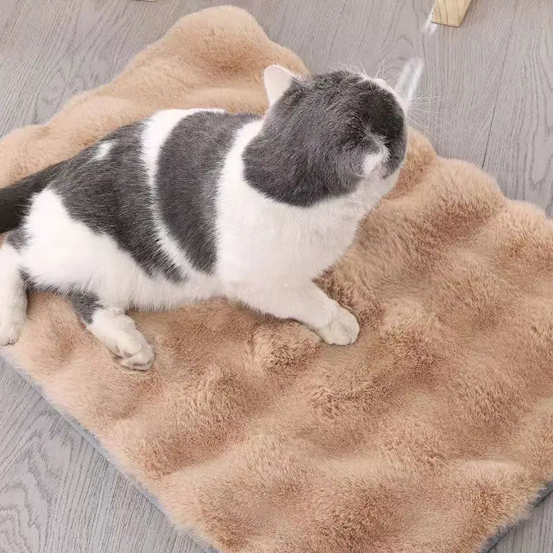 Ultra-Soft Pet mat Winter Warm Dog Blanket Cat bed Sofa Mat Super Comfortable Pet Blanket Pad Mat for Cats Dogs Sleeping Mat
