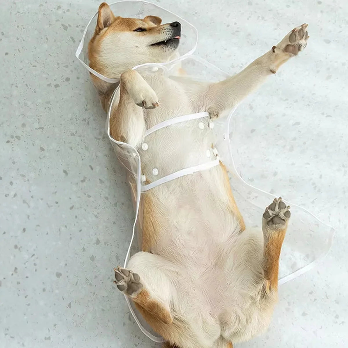 Pet Waterproof Raincoat Pet Dog Puppy Transparent Rainwear Waterproof Jacket Clothes Soft PVC Raincoat for Small Medium-Size Dog